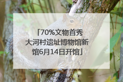 70%文物首秀 大河村遗址博物馆新馆6月14日开馆