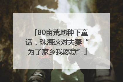 80亩荒地种下童话，珠海这对夫妻“为了家乡我愿意”