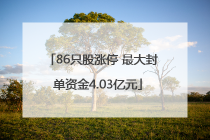 86只股涨停 最大封单资金4.03亿元