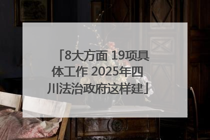 8大方面 19项具体工作 2025年四川法治政府这样建