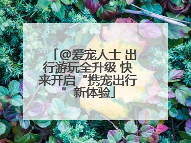 @爱宠人士 出行游玩全升级 快来开启“携宠出行”新体验