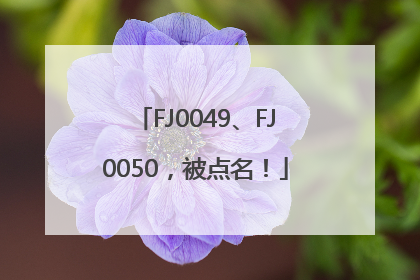 FJ0049、FJ0050，被点名！