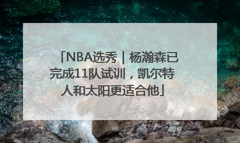 NBA选秀｜杨瀚森已完成11队试训，凯尔特人和太阳更适合他